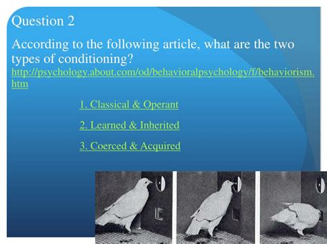 Ppt Behaviorism Powerpoint Presentation Free Download Id 3456558