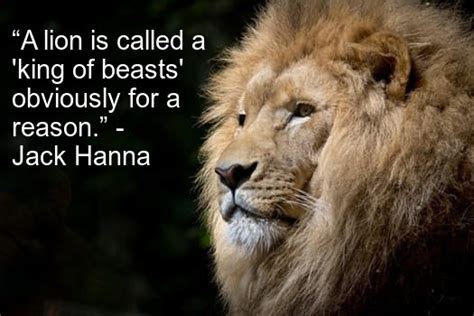 33 Best Motivational Lion Quotes (The King Lion Quotes) – BrilliantRead ...