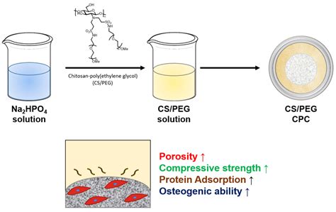 Polymers Free Full Text Enhanced Osteogenesis Of Dental Pulp Stem