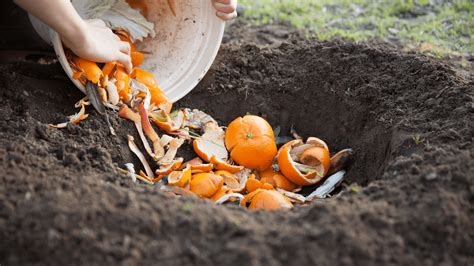 9 Benefits Of Composting Why You Should Start Nikole Pearson