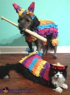 Party Animals - Costumes for Pets | DIY Costumes Under $45