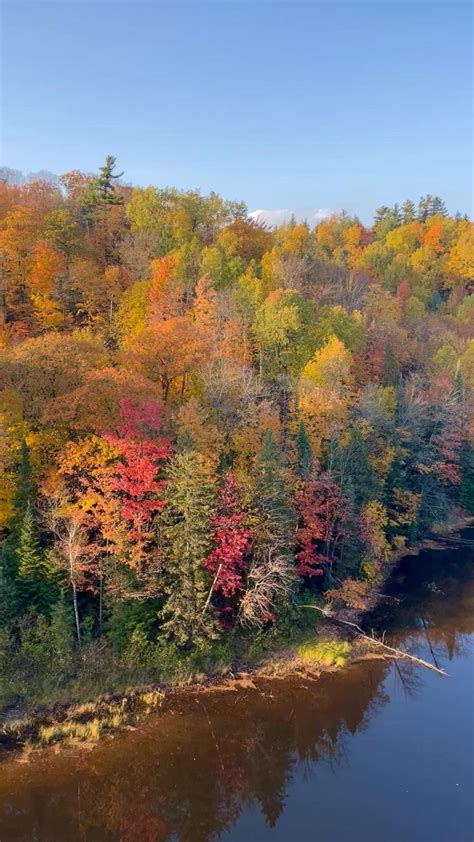 stunning fall colors on the trees in northern michigan | Outdoor ...