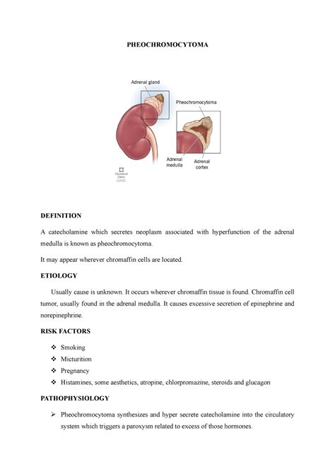 Pheochromocytoma Study Note Pheochromocytoma Definition A