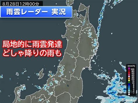 北海道や東北、北陸付近に発達した雨雲 所々でザーザー降りの雨 台風10号の影響も｜愛媛新聞online