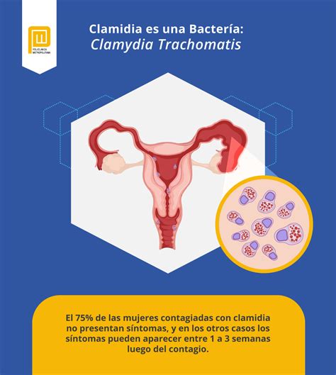 Clamidia Como Se Pega - ¿Cómo saber si se tiene clamidia? – Policlinica Metropolitana