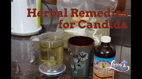 Herbal Remedies For Candida Youtube