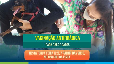 Bairro Boa Vista recebe campanha de vacinação antirrábica nesta terça