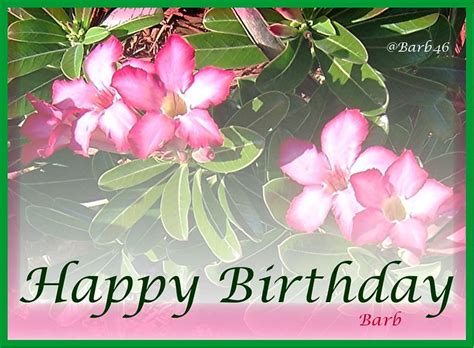 Happy Birthday Barb Barb46 Flickr Photo Sharing