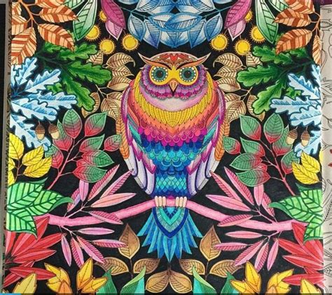 Owl Secret Garden Coruja Jardim Secreto Johanna Basford Jardim