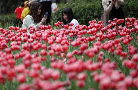 雨雪天气来袭 南北方气温“冰火”两重天 杭州刮大风下冰雹 东北暴雪来了 强对流来袭！重庆多地突降冰雹