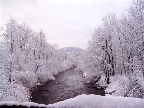 Snowy River Free Stock Photo - Public Domain Pictures