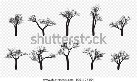 Naked Trees Silhouettes Set Hand Drawn Stock Vector Royalty Free