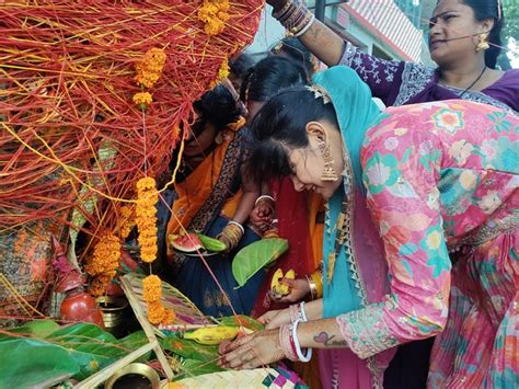 Vat Savitri Puja In Rohini Nakshatra And Dhriti Yoga रोहिणी नक्षत्र