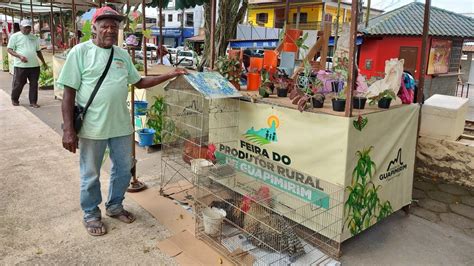 Feira Do Produtor Rural De Guapimirim Youtube