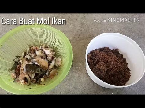 Cara Nak Buat Baja Organik Ternakan Ikan