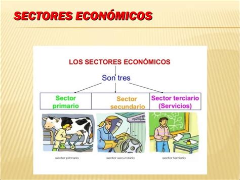 Los Sectores De Produccion