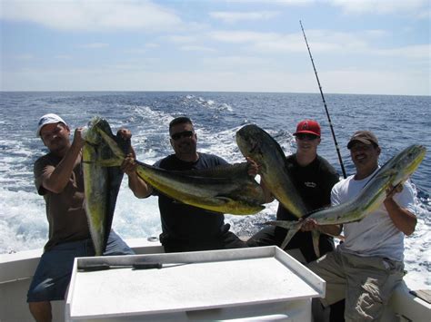 Great Catch! - Southern California Fishing Boat Charters