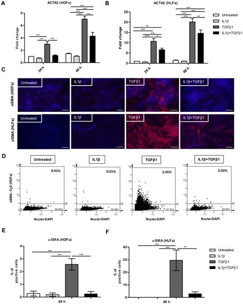 Hdfa And Hlfa Were Treated With Il Tgf Or A Combination Of Both