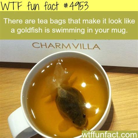 60 Amazing Weird And Interesting Random Facts | Amazing WTF Facts