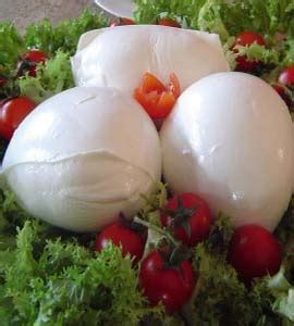 MOZZARELLA DI BUFALA 18/125 Grams « Tax and Duty Free Export Supplier