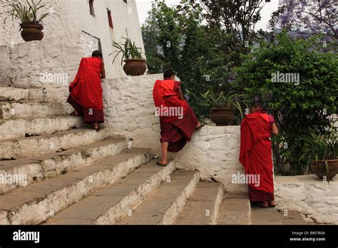 Buddist Monks On The Steps Of Punakha Dzong Bhutan Stock Photo Alamy