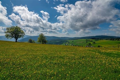 Black Forest National Park (Nationalpark Schwarzwald)