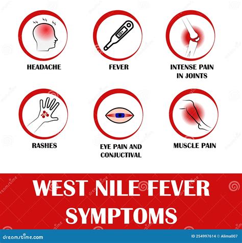 West Nile Fever, Pictograms with Names of Individual Symptoms Stock ...