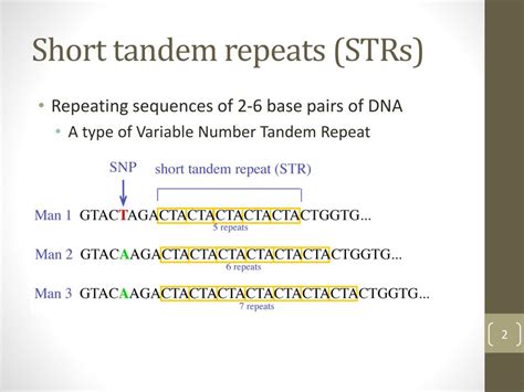 PPT - Rapid detection of expanded short tandem repeats in personal ...