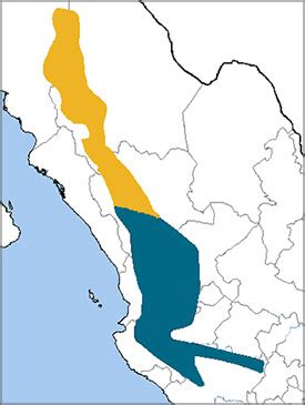 Parrot Habitat Map