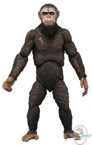 Dawn Of The Planet Of The Apes Series 1 Caesar 7 Inch Figure Neca Man