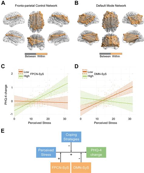 Representation Of The Modulatory Effect Of Frontoparietal Control