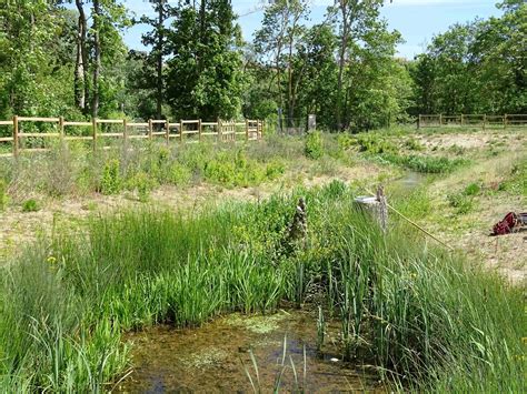 Journ E Mondiale Des Zones Humides Nature En Ville Cergy Pontoise