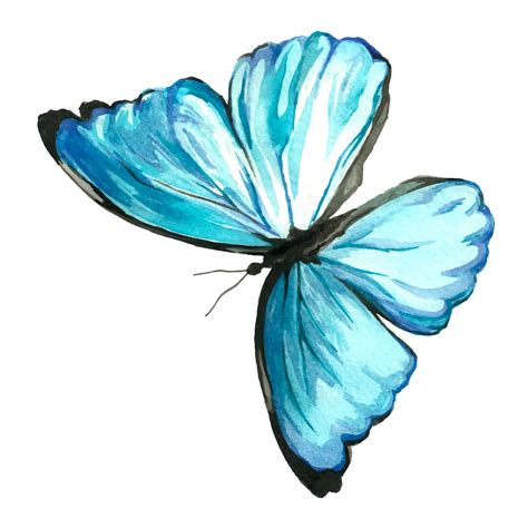 Butterfly Butterfly Art Painting Butterfly Watercolor Butterfly