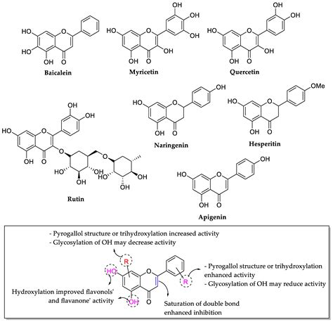 Molecules Free Full Text Antibacterial Effects Of Flavonoids And