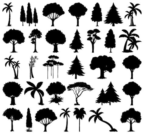 Simple Tree Silhouette Vector