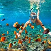 Must visit snorkeling spots in Aruba - Aruba Real Estate Listings