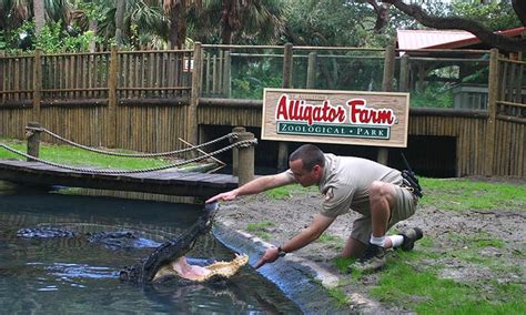 Spring CrocFest At The Alligator Farm | Visit St. Augustine