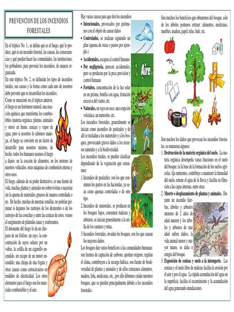 Triptico Incendios Forestales 2 Pdf Fuego Fatuo Suelo