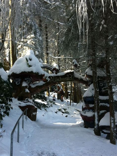 WILD UND FREIZEITPARK WILLINGEN 19 Photos Am Ettelsberg 2