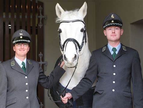 Hengstpr Sentationen In Graditz Plohn Und Seelitz Sgv S Chsische