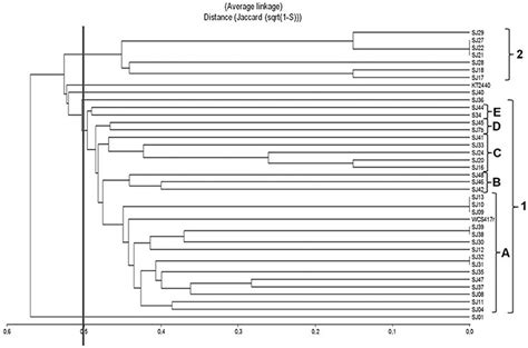 Dendrogram Based On Box Pcr Profiles Generated From Native And