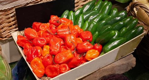 How To Grow Chillies From Seed In The UK Complete Guide