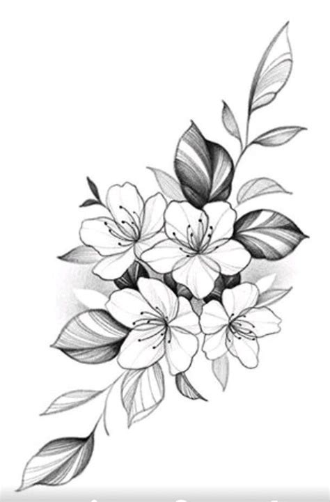 Pin By Giovanna Camasão On Tattoo Flower Tattoo Drawings Floral Tattoo Sleeve Floral Tattoo