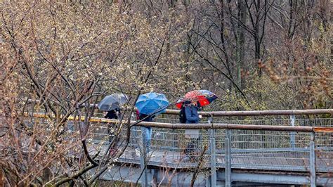 Schnee Thüringen Schnee und Regen zum Wochenstart in Thüringen