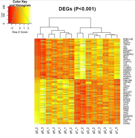 Heatmap Plot Of Differentially Expressed Genes All 15 Samples From 5 Download Scientific