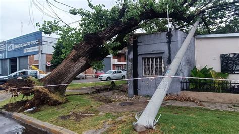 Tormenta En Rosario Reclamos Por Rboles Y Columnas Ca Dos Cables