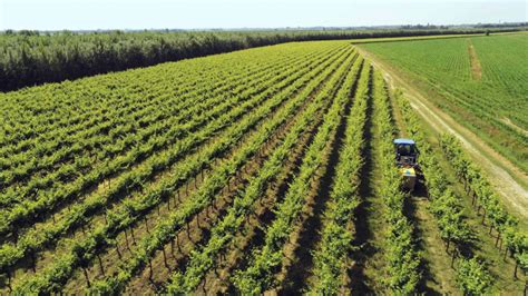 Ozono In Agricoltura Apertura Delleuropa Ambient Ambienti