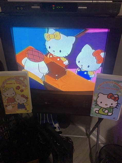 Mixing my hobby with my obsession. : r/HelloKitty
