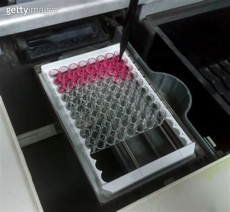 Enzyme Linked Immunosorbent Assay Elisa Plate Immunology Or Serology