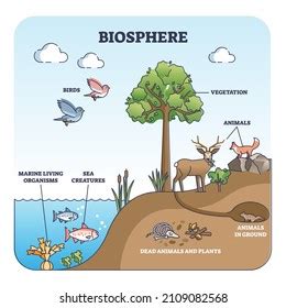 Biosphere Vector Illustration Labeled All Natural Stock Vector Royalty